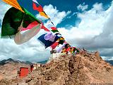 Leh-Forte e Namgyal Tsemo gompa